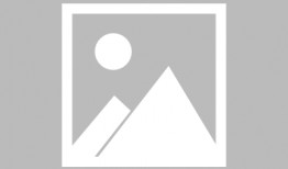 十二生肖电影高清在线观看,生肖传奇，高清盛宴